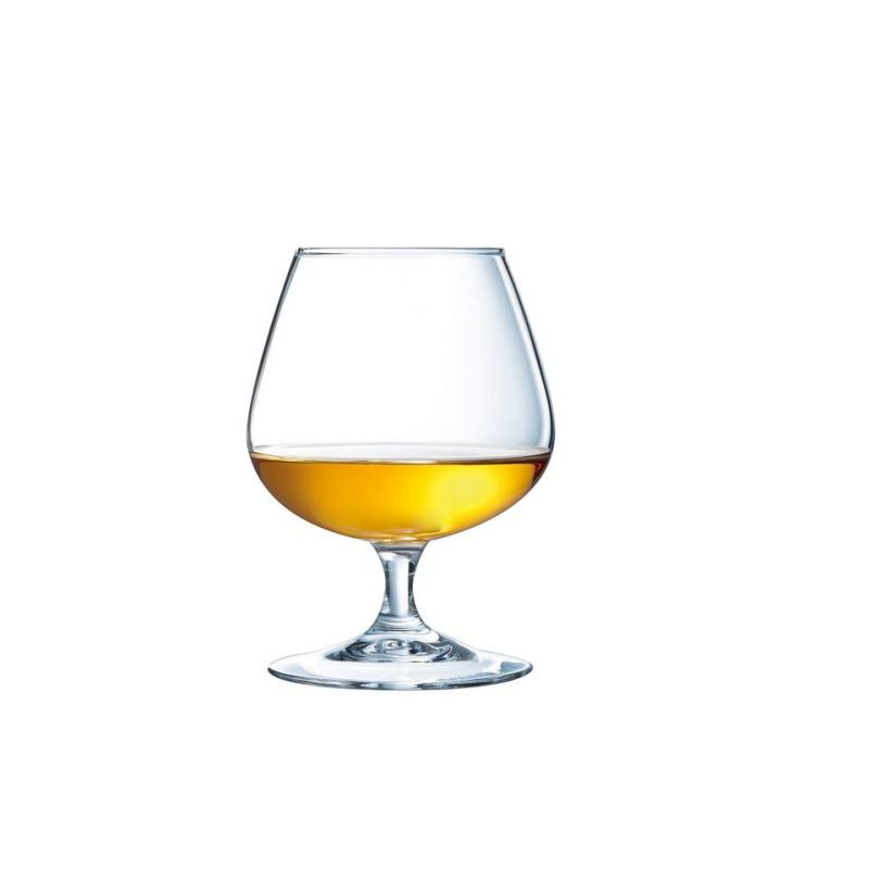 Calice degustazione Brandy Cognac Arcoroc in vetro cl 25
