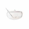 Transparent poncera bowl with ladle