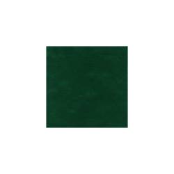 Coprimacchia Pack Service in Airspun cm 100 x 100 verde