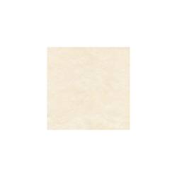 Coprimacchia Pack Service in Airspun cm 100 x 100 crema