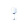 Vins Jeunes Arcoroc wine goblet in glass cl 35