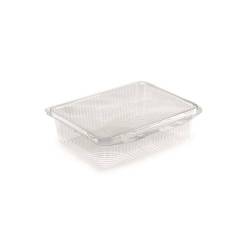 Transparent pet container with lid 0.40 gal