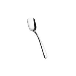 Salvinelli stainless steel Forever ice cream spoon