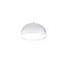 Dome for plexiglass riser cm 23