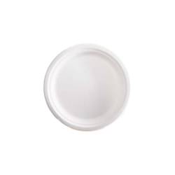 Bagasse flat plate 10.23 inch