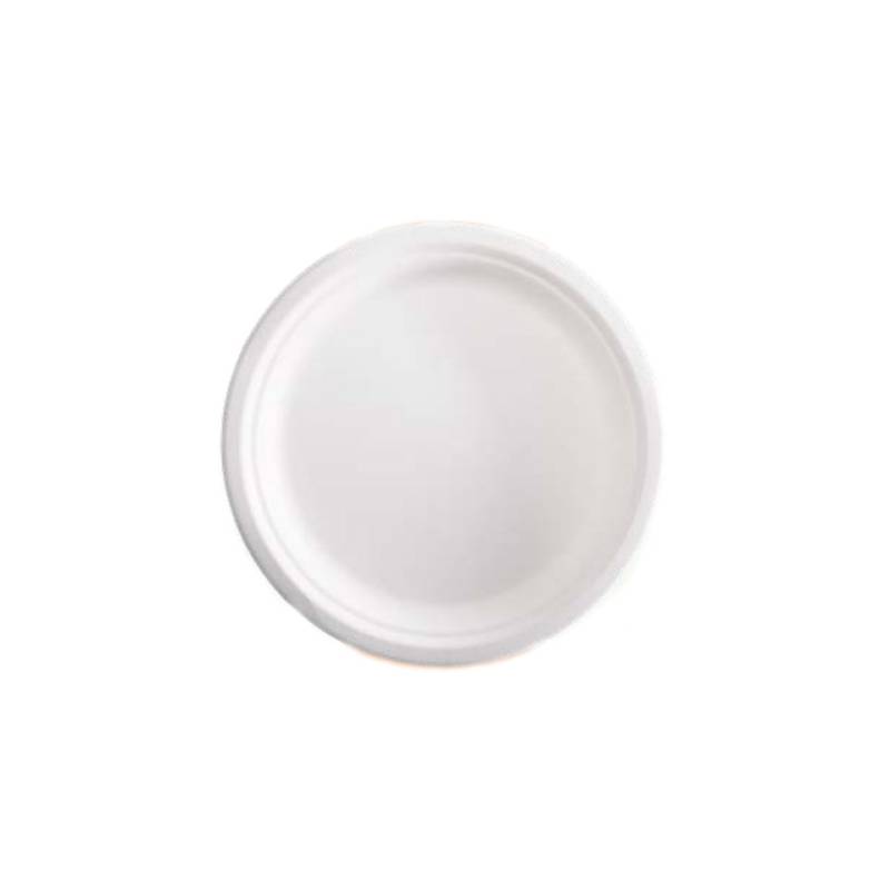 Bagasse flat plate 10.23 inch