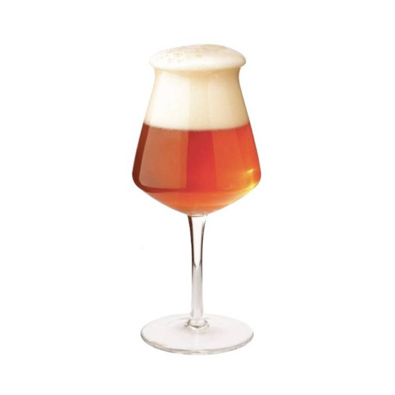 Teku beer tasting glass cl 42