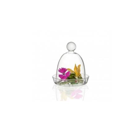 Piattino con cupola 100% Chef in vetro borosilicato cm 8,5x7