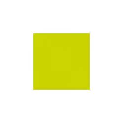Tovagliolo Duni DuniSoft Economy cm 40 x 40 kiwi