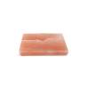 Rectangular pink salt plate replacement 7.87x11.81 inch