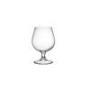 Snifter Rocco Bormioli beer goblet in glass cl 53
