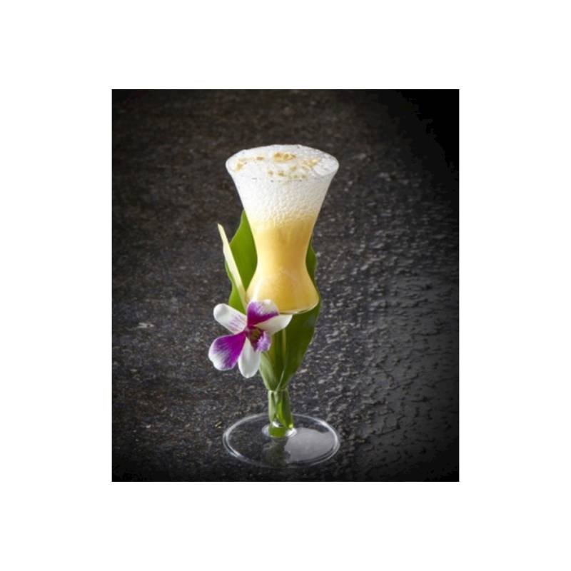 Sour 100% Chef goblet in borosilicate glass cl 10