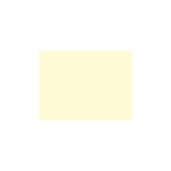 Tovaglietta Duni in carta champagne cm 35x45