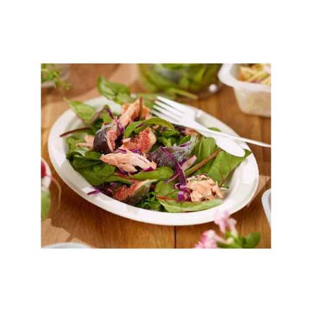 Assiette plate en pâte à papier Duni cm 26