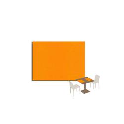 Orange TNT placemat 30x40 cm
