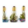 Bittere Zwiebeln Glas cl 11