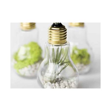 Bulbes amers Verre cl 11