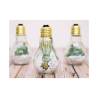 Bittere Zwiebeln Glas cl 11