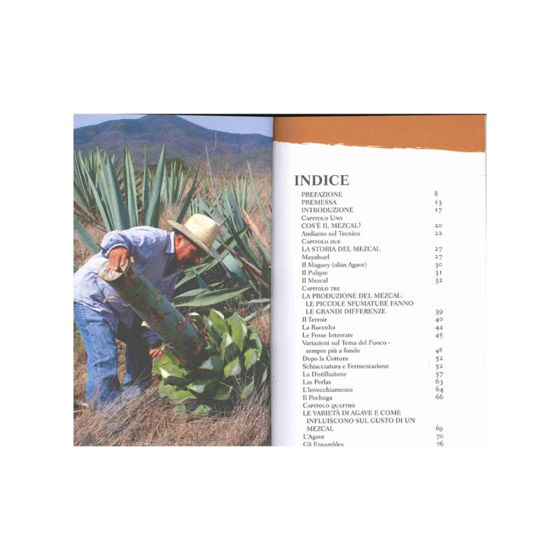 Mezcal! di John Mcevoyn