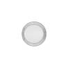 Plastic flat plate with silver edge cm 19