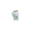 Pop Corn Verre transparent cl 35