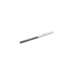 Zeus Fire stainless steel table knife 24 cm