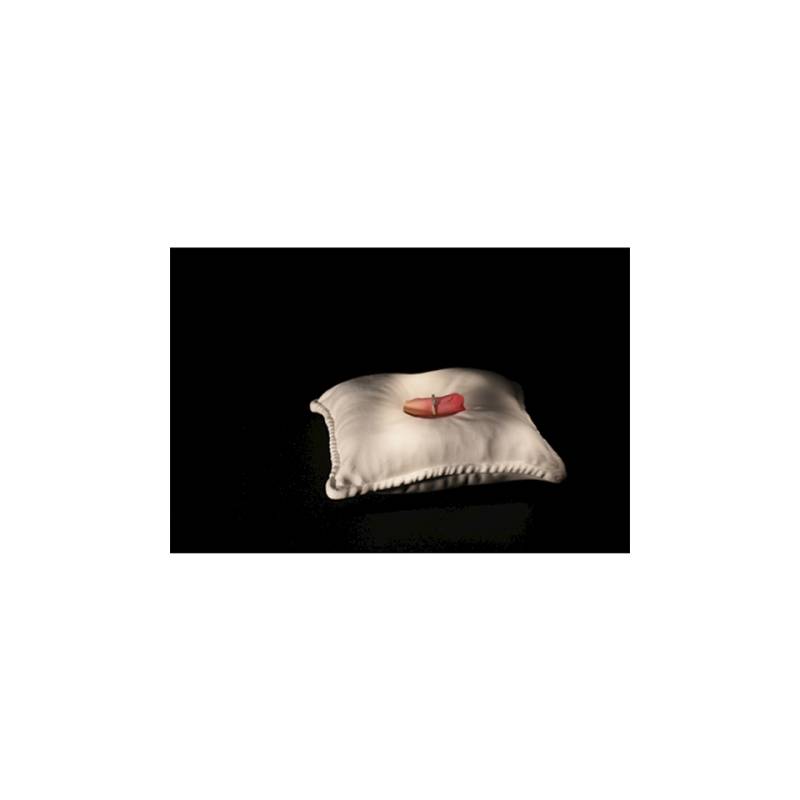 100% Chef white porcelain pillow 24x24 cm