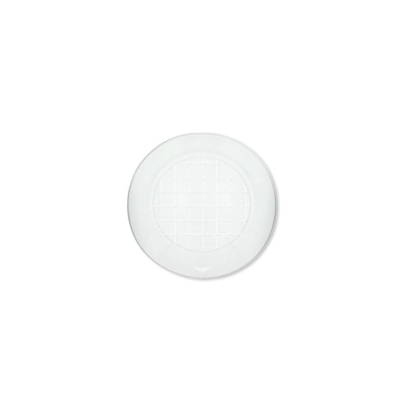 Assiette jetable transparente pour animaux de compagnie 20,6 cm