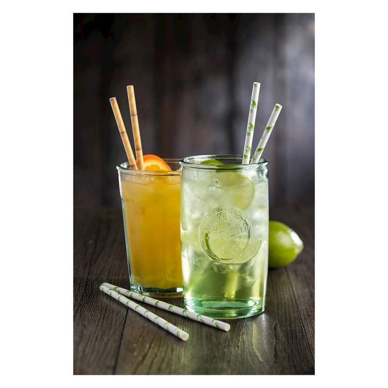 Biodegradable paper straws with turtles cm 20x0.6