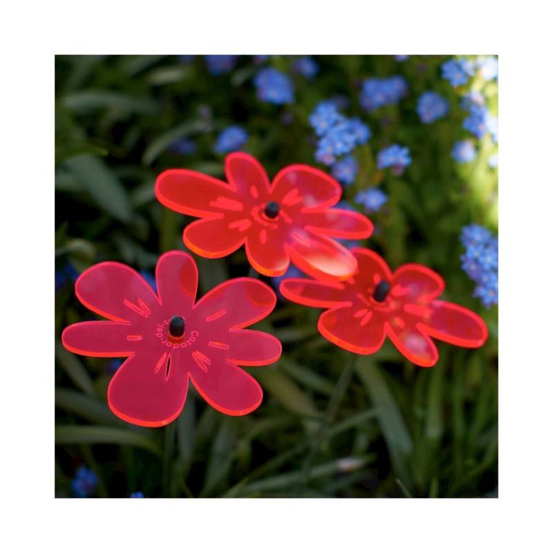 Blume Nea Friend Cazador del Sol rot 25x8 cm