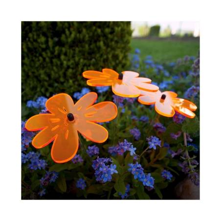 Fiore Nea Friend Cazador del Sol arancione cm 25x8