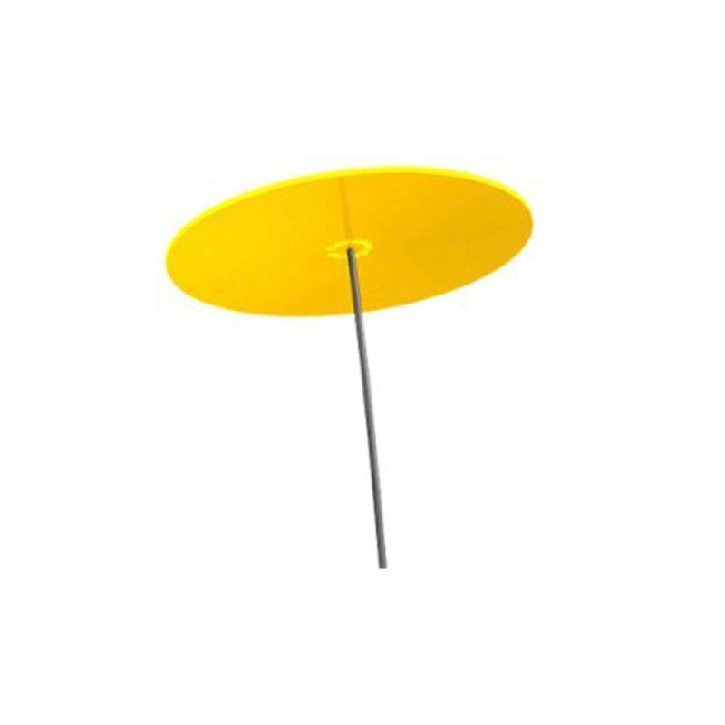 Fiore Disco Uno Cazador del Sol giallo cm 175x20