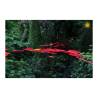 Fiore Disco Uno Cazador del Sol rosso cm 175x20