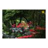 Fiore Disco Uno Cazador del Sol rosso cm 175x20