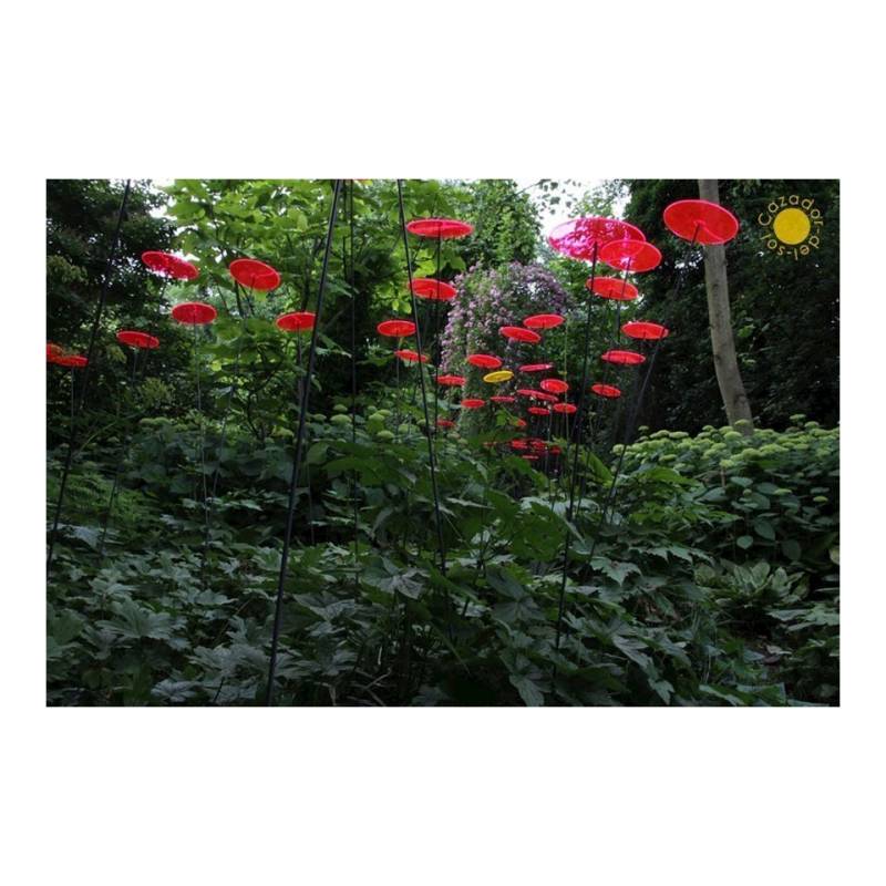 Fiore Disco Uno Cazador del Sol rosso cm 175x20