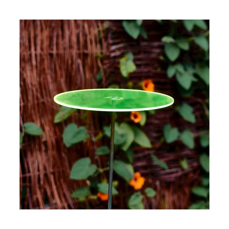 Fiore Disco Uno Cazador del Sol verde cm 175x20