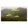 Fiore Lucy Cazador del Sol verde cm 175x20