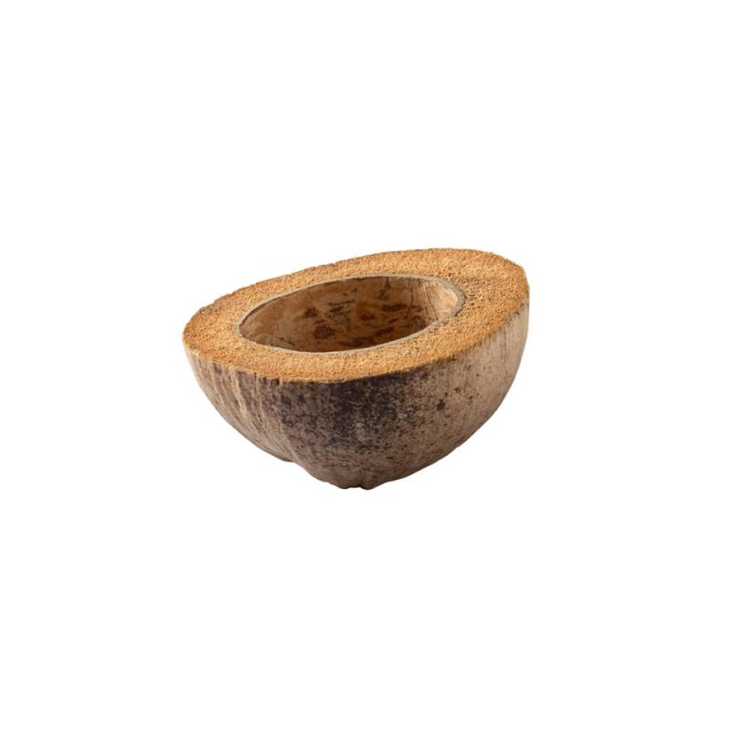 Natural half coconut cup holder