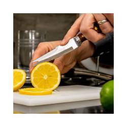 Coley Urban Bar citrus knife in steel with wooden handle cm 21