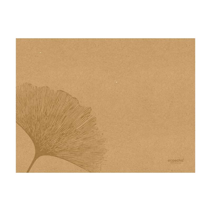Set de table en papier brun Duni bio 30x40 cm
