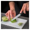 Citrus knife 2 tips stainless steel and nylon cm 21.5