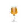 Teku beer tasting glass cl 33