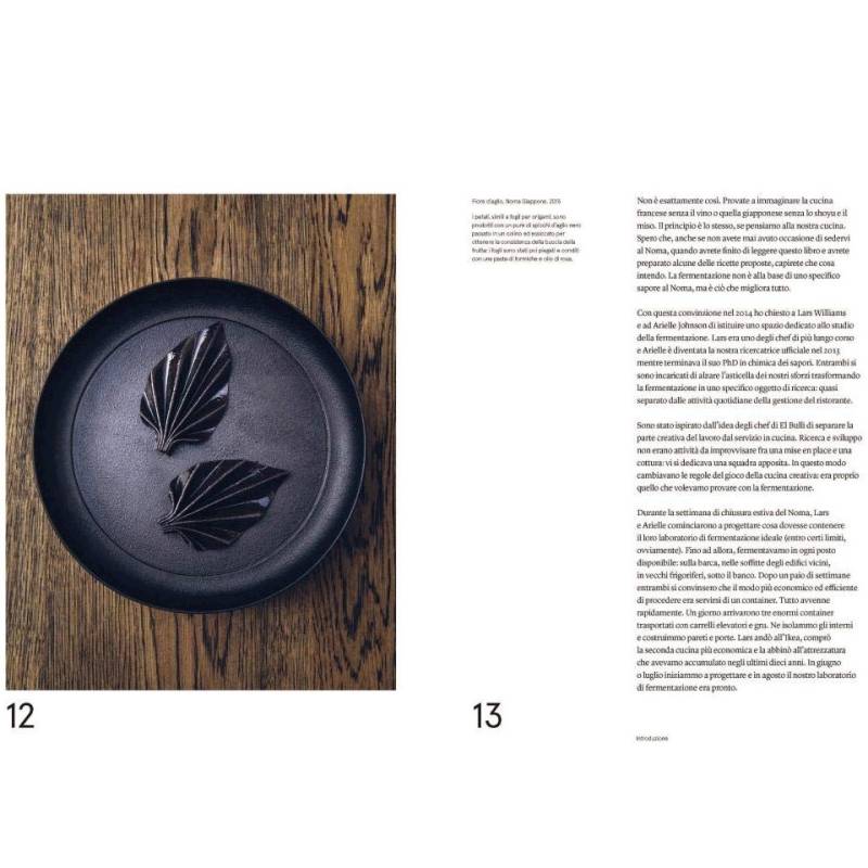 Noma, the fermentation guide by René Redzepi and David Zilber