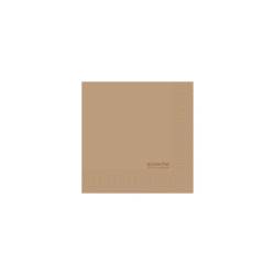 Ecoecho Duni natural cellulose 2-ply napkin 24x24 cm