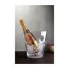 Nackte Glasflasche Eimer lt 9.5