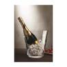 Nackte Glasflasche Eimer lt 9.5