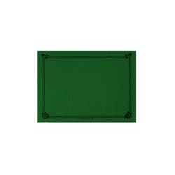 Jaguar green cellulose placemats 12.20x16.93 inch