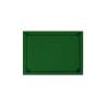 Jaguar green cellulose placemats 12.20x16.93 inch