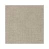 Easy cellulose dove-grey placemat 11.81x15.74 inch