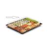 Formipack transparent polystyrene lid 12.87x9.80 inch